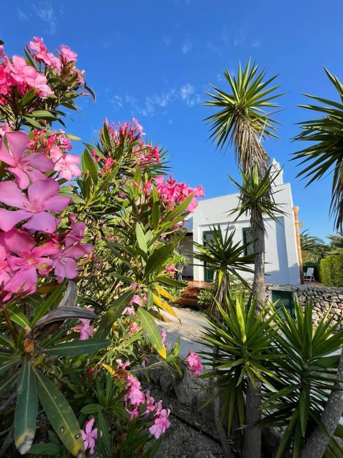 Villa Dei Gabbiani فافينانا المظهر الخارجي الصورة